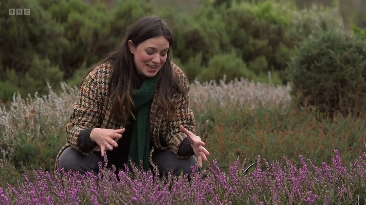 Gardeners' World 2022🍀Winter Specials Episode 3