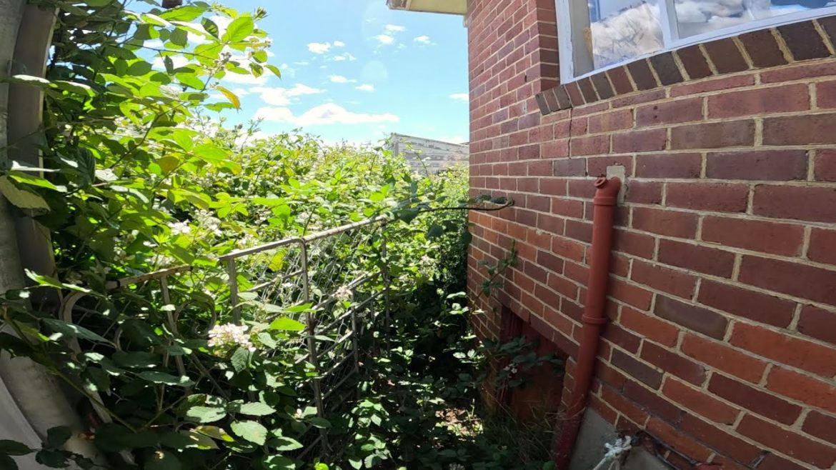 Hellish Garden Paths Repaired | There Really is a Path Under all of this Mess