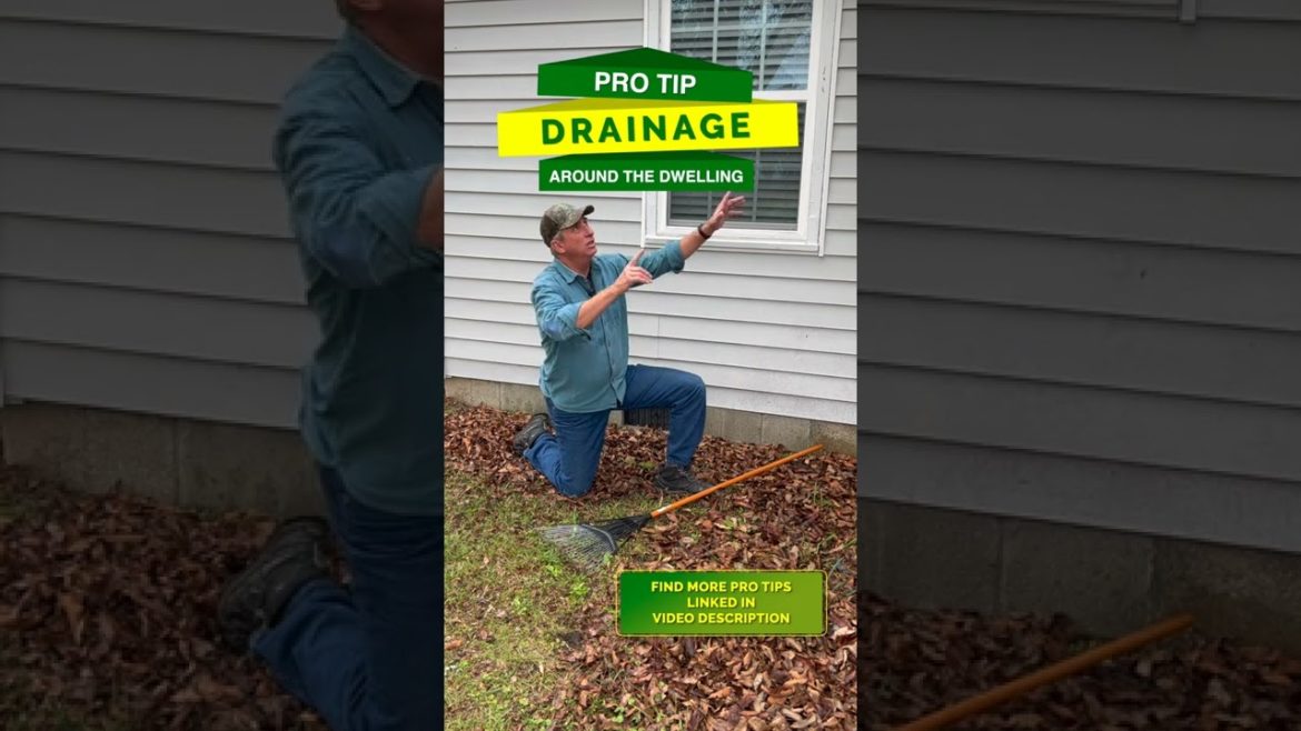 PRO TIP | Is your Drainage Preventing Water Damage? 🤔 Drains, Slope and Gutters PRO TIP | Is your Drainage Preventing Water Damage? 🤔 Drains, Slope and Gutters