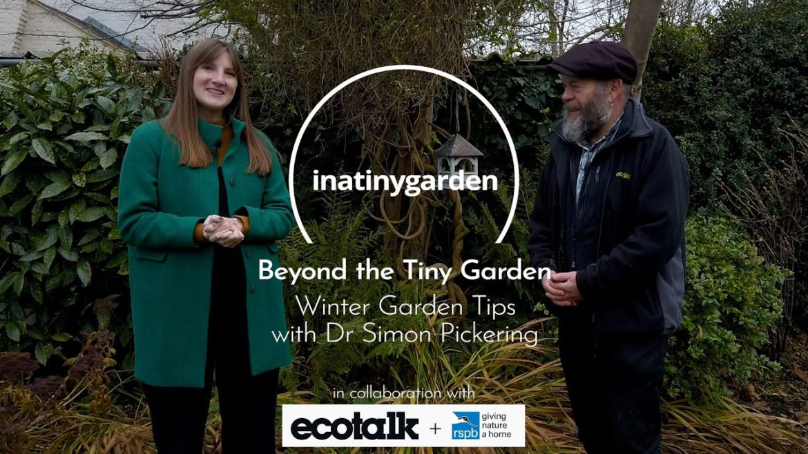 Beyond the Tiny Garden | Winter Garden Tips for Wildlife with Dr. Pickering from Ecotalk + RSPB Beyond the Tiny Garden | Winter Garden Tips for Wildlife with Dr. Pickering from Ecotalk + RSPB