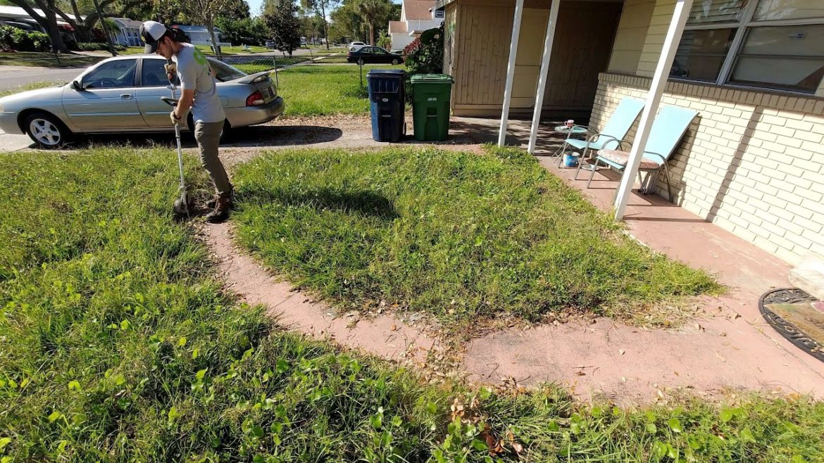 He asked me WHO DOES THAT after I offered to TRANSFORM his OVERGROWN LAWN He asked me WHO DOES THAT after I offered to TRANSFORM his OVERGROWN LAWN