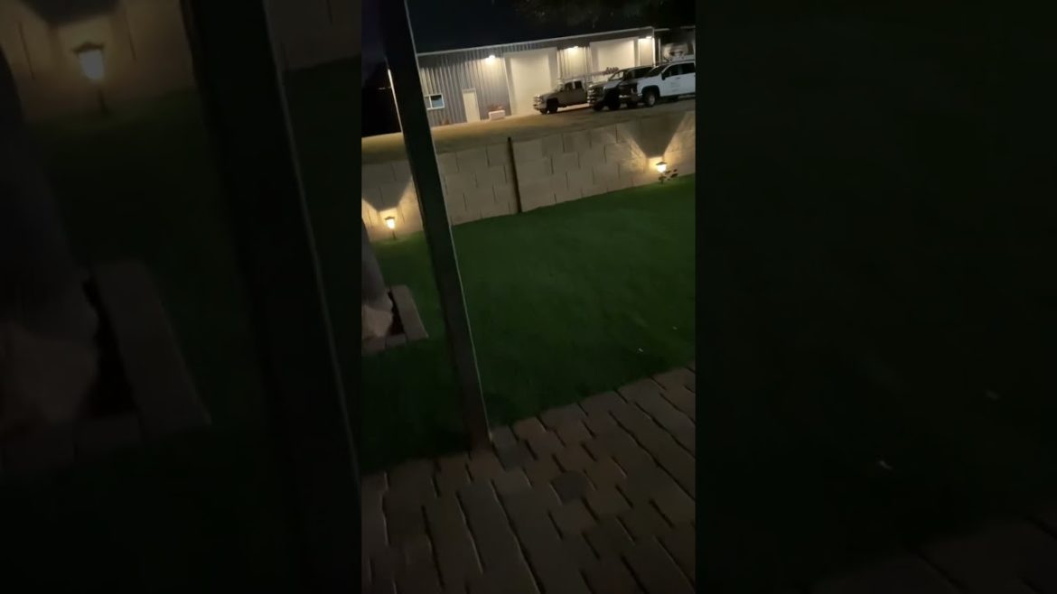 Impact Builders LLC Paver and Artifcial Turf Installation