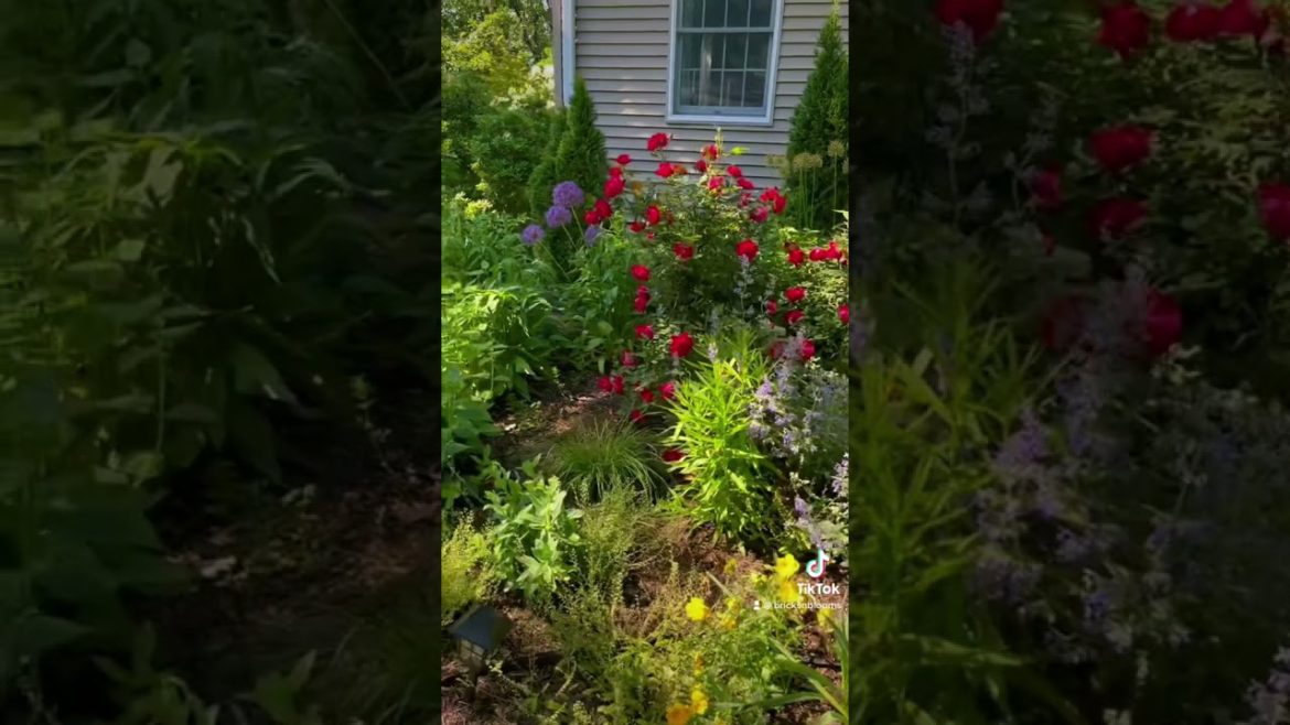 Late Spring Flowers in the Front Yard Cottage Garden Tour