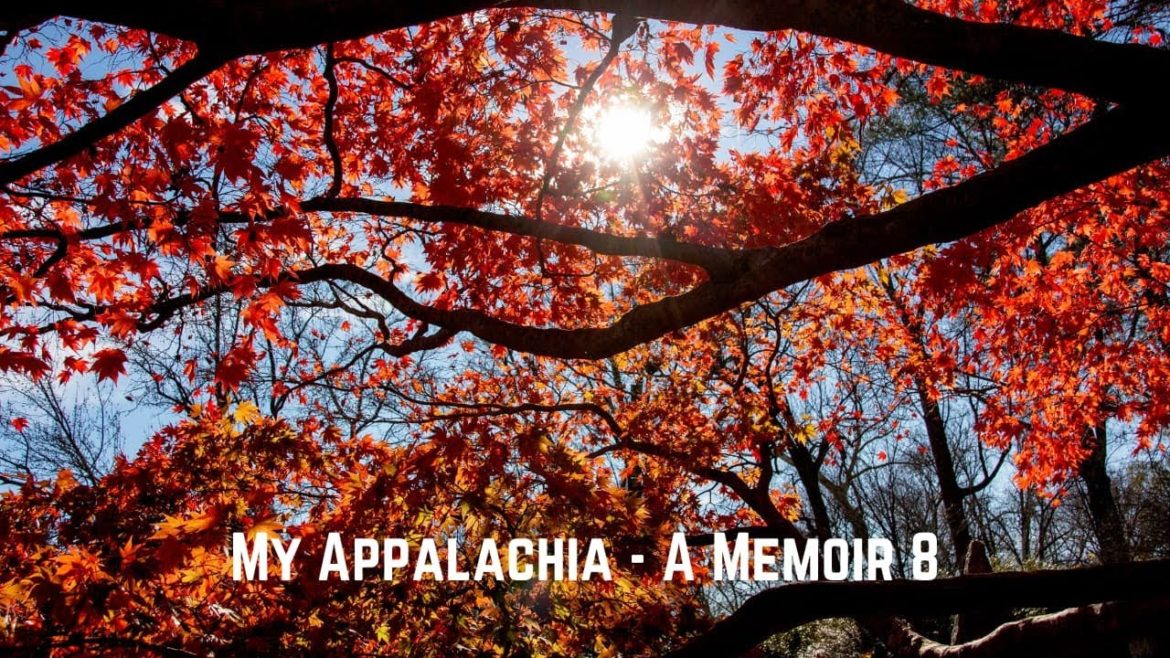 My Appalachia, A Memoir – Favorite Trees, Stereotypes, Changes to Old Places My Appalachia, A Memoir - Favorite Trees, Stereotypes, Changes to Old Places