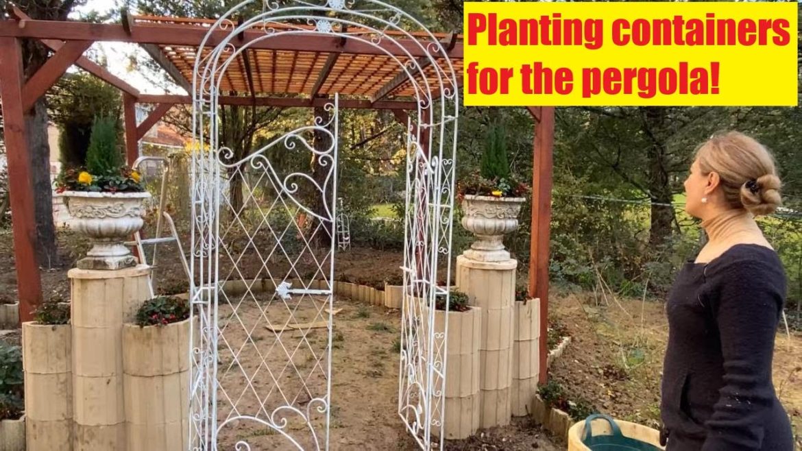 Planting containers for the pergola!