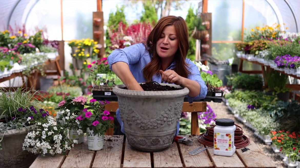 Colorful Container Gardens For Summertime!