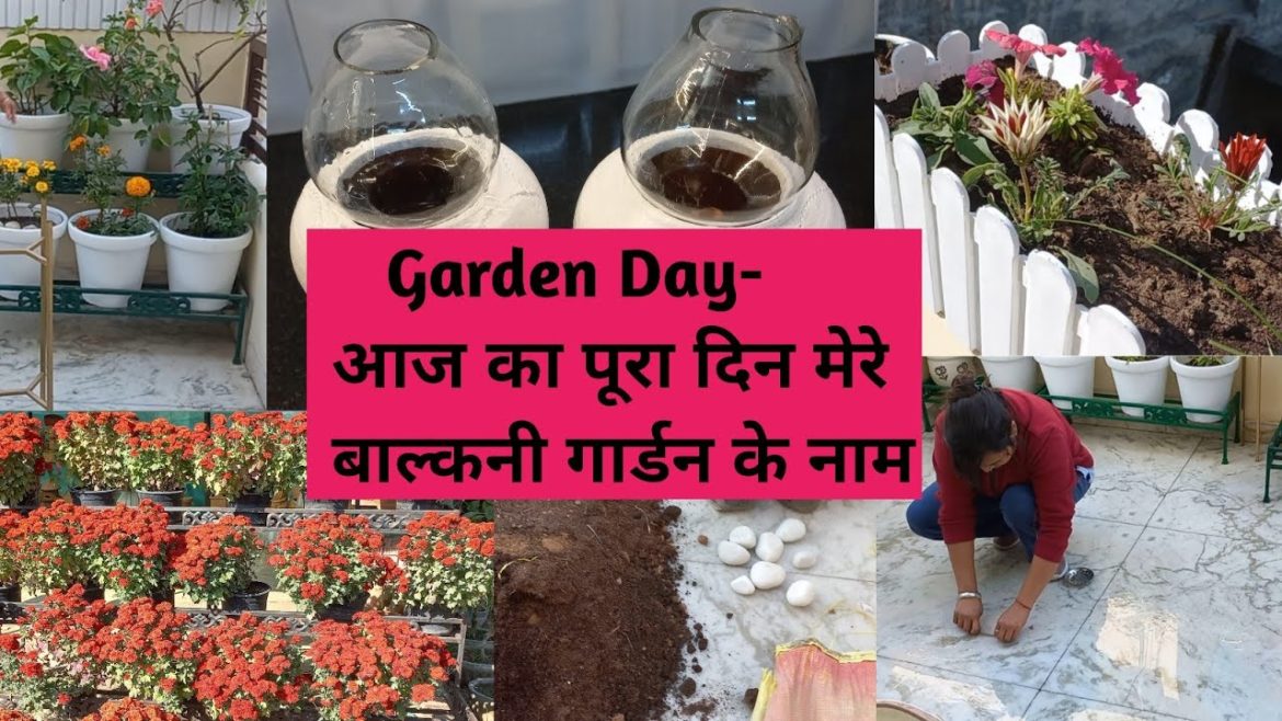 A DAY In My Garden | बाल्कनी गार्डन में किए कुछ जरूरी काम | Winter Flowers|Balcony Decoration Ideas A DAY In My Garden | बाल्कनी गार्डन में किए कुछ जरूरी काम | Winter Flowers|Balcony Decoration Ideas