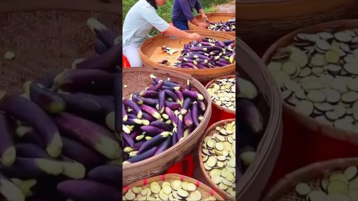 Dried vegetables for the winter