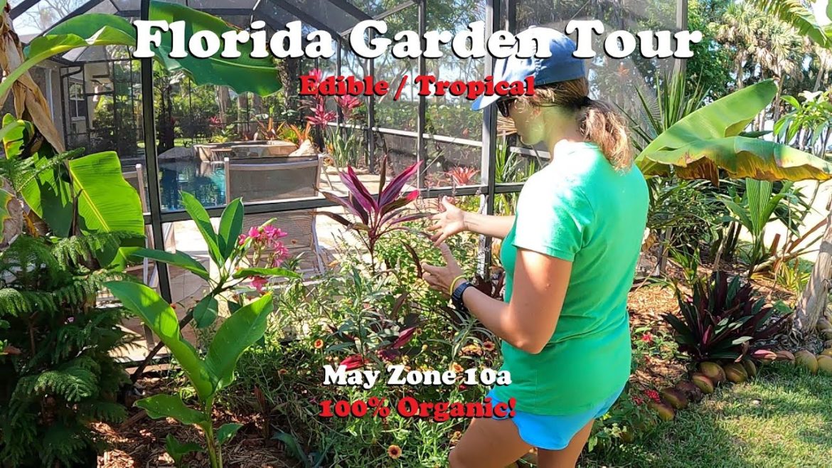 Florida Organic Edible / Tropical Garden Tour | May Zone 10a