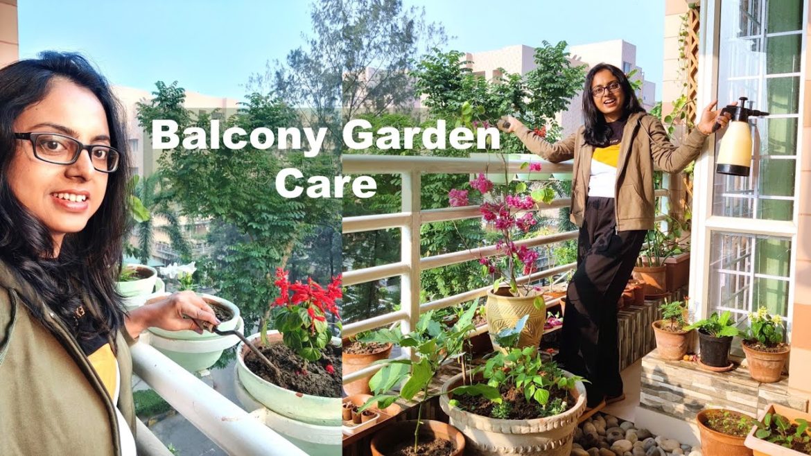 Balcony Garden Care Vlog - My Weekly Routine and Harvesting