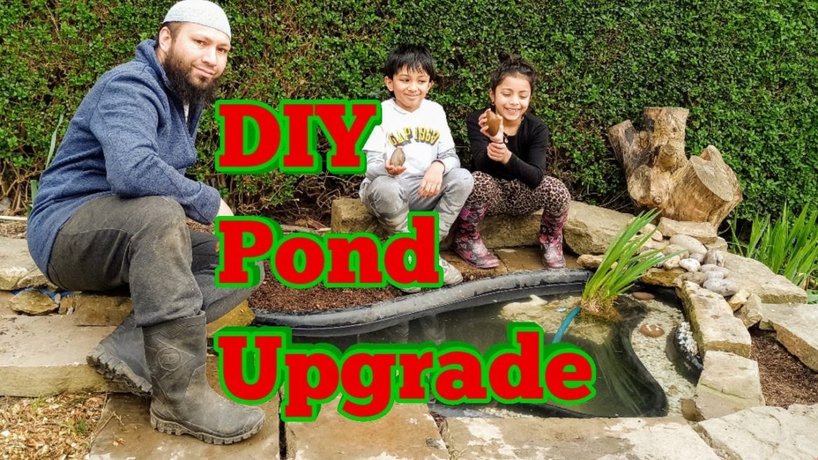 DIY Backyard Garden Pond Replacement