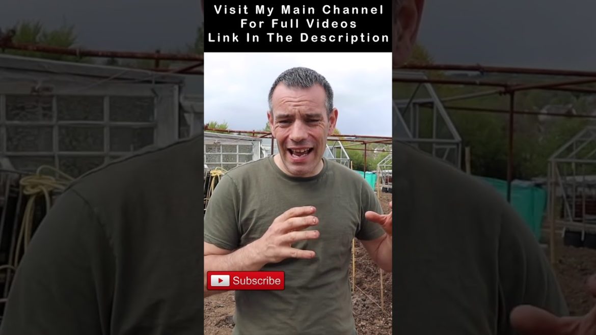 Are Well Meaning Gardeners Hurting You #shorts