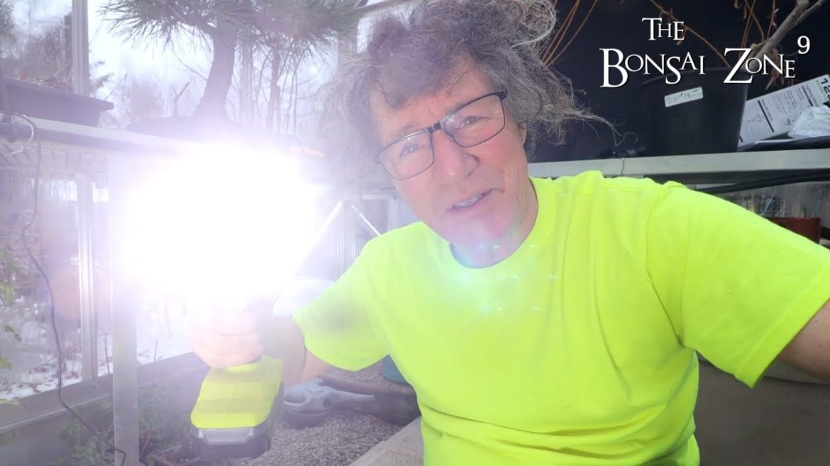 Shopping for my Bonsai on a Rainy Cold Day, The Bonsai Zone, Dec 2022