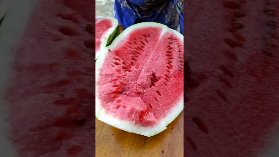 how to growth vegetable /gardening ideas for home