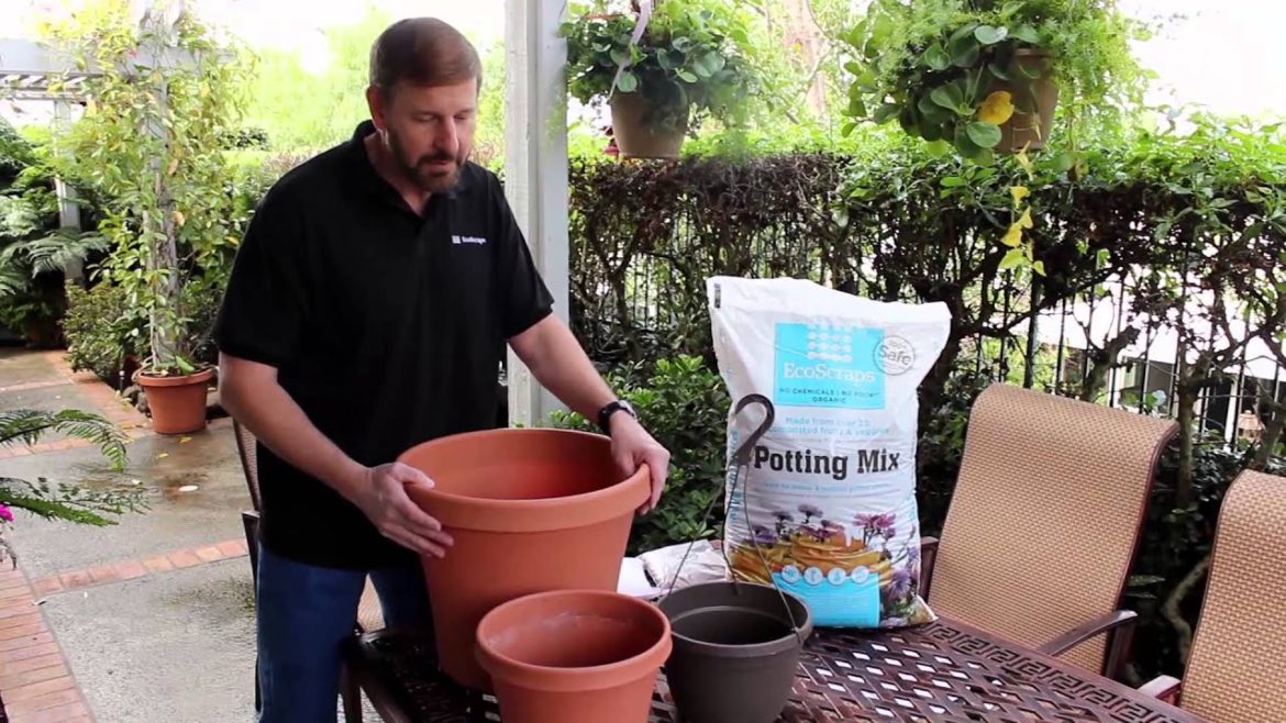 How to Choose the Right Pot and Soil for your Container Garden