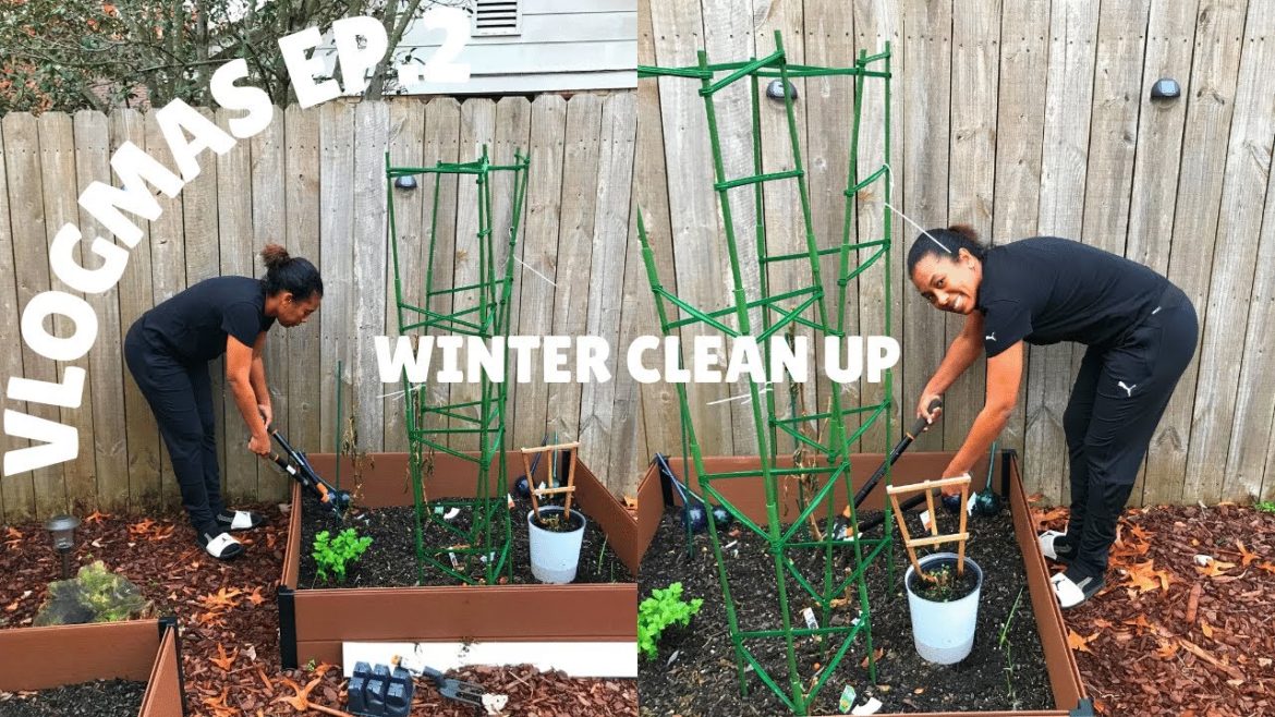 VLOGMAS 2022 EP.2 | Winter Garden Update & Backyard Clean up
