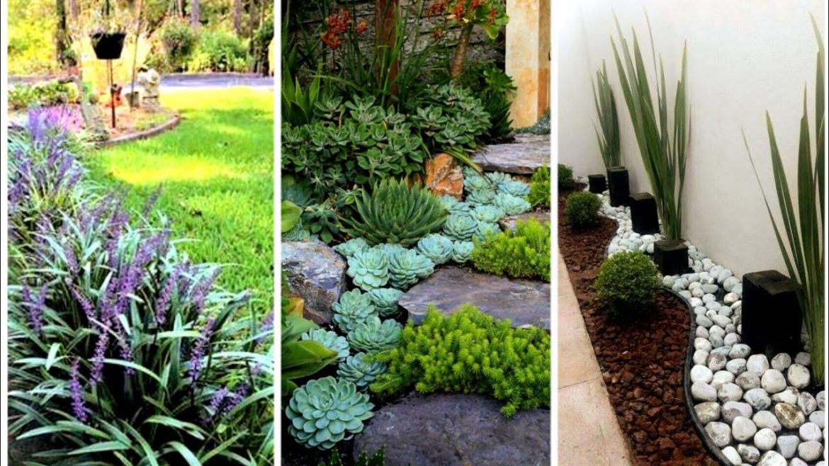 Beautiful Backyard Garden Ideas 2022 | Decor your backyard with gardening