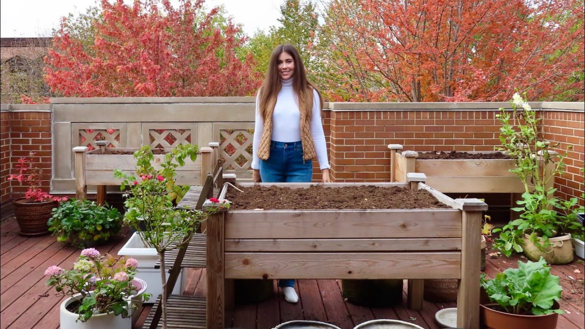 November Container Garden Tour | Rooftop Gardening