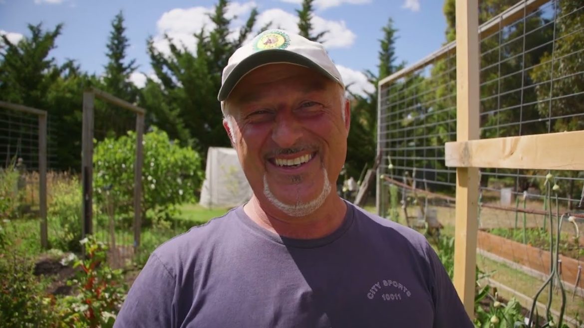 Building A Hothouse And Tomato Pruning Tips