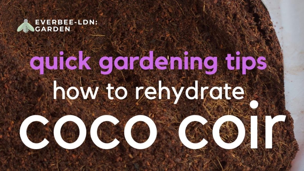 Quick Gardening Tips - best way to rehydrate coco coir blocks UPDATED | EVERBEE - Ldn: GARDEN