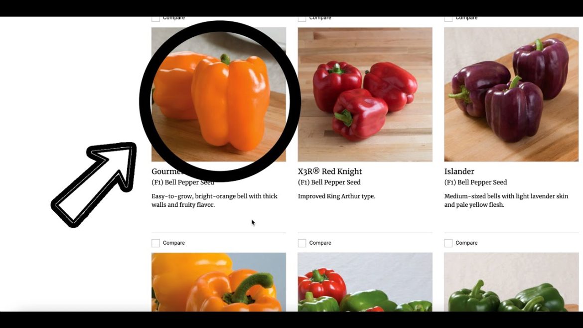 2023 PEPPER SEEDS | Sweet Bell, Spicy, & Pickling Grower Varieties | Homestead Garden | Johnnys