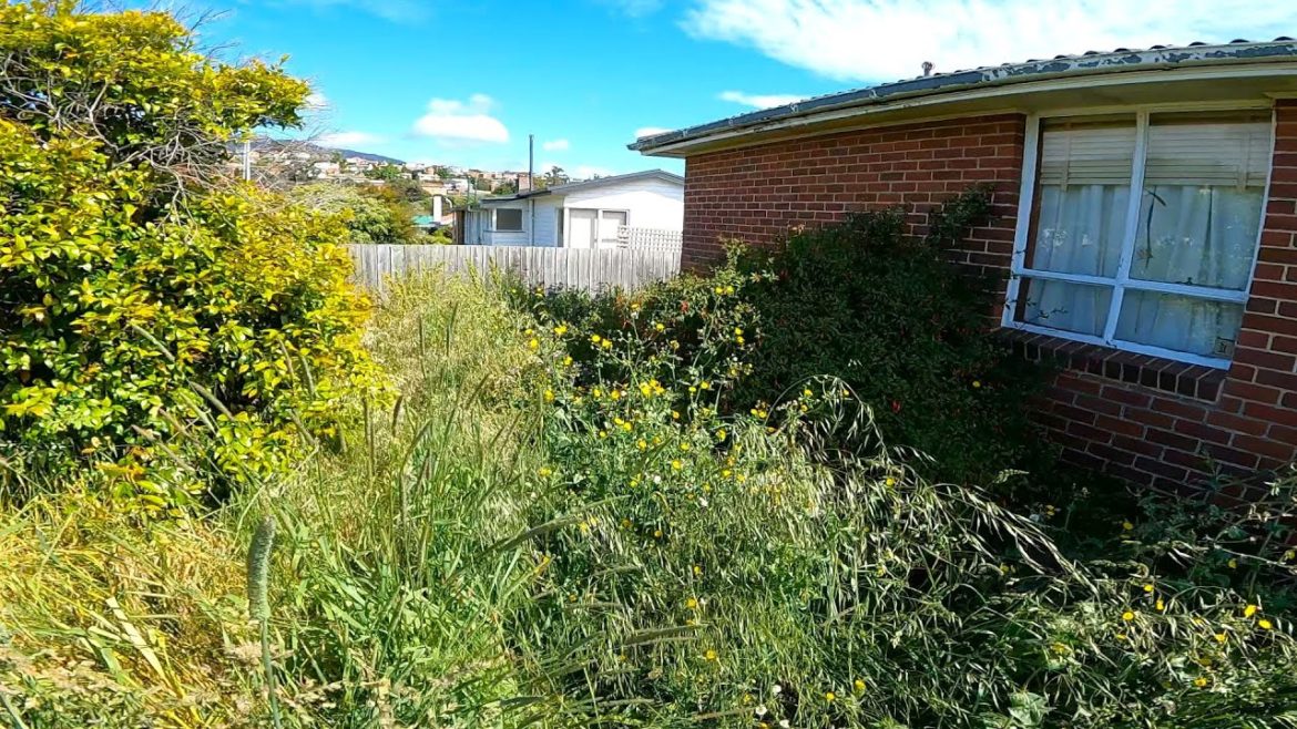 Superhuman Transformation of the most OVERGROWN Yard | Neighbours were AMAZED!