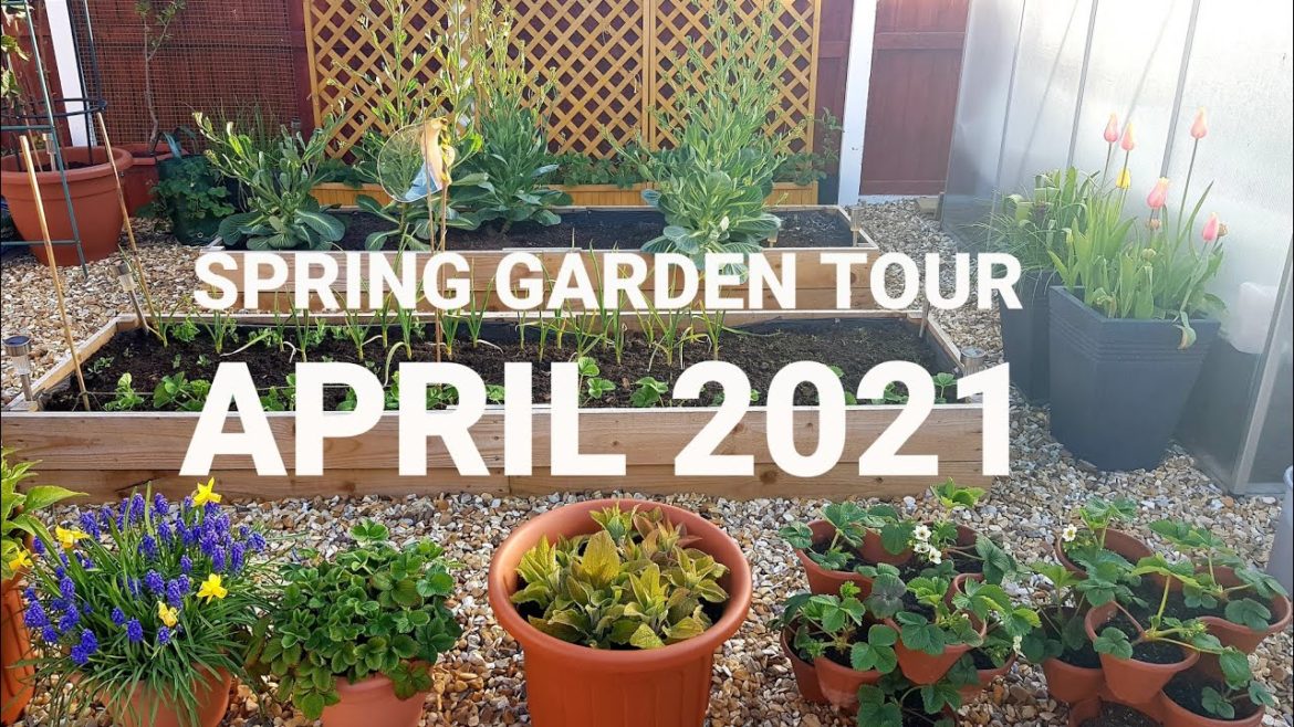 Spring Garden Tour April 2021~ Front yard, Backyard & Greenhouse ~ Flower garden plus Mini orchard Spring Garden Tour April 2021~ Front yard, Backyard & Greenhouse ~ Flower garden plus Mini orchard