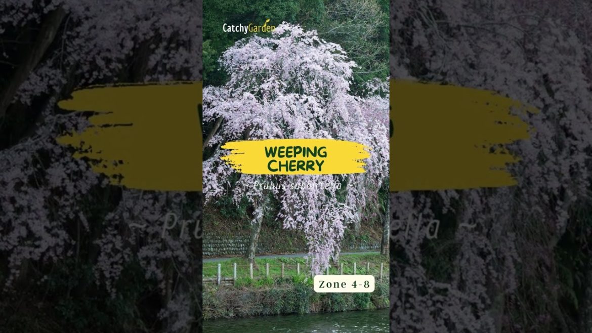 Best 8 Flowering Trees to Grow in Colder Climates 🌳🌷 // #short #shorts