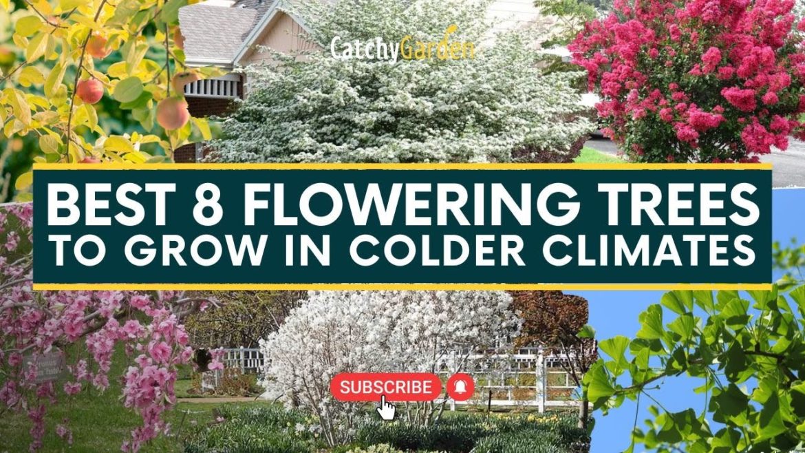Best 8 Flowering Trees to Grow in Colder Climates π³π· // Gardening Ideas Best 8 Flowering Trees to Grow in Colder Climates π³π· // Gardening Ideas