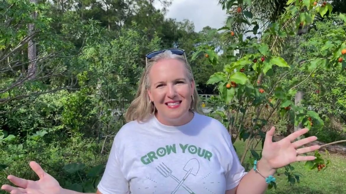 Food Forest DIY (Do It YourSelf)