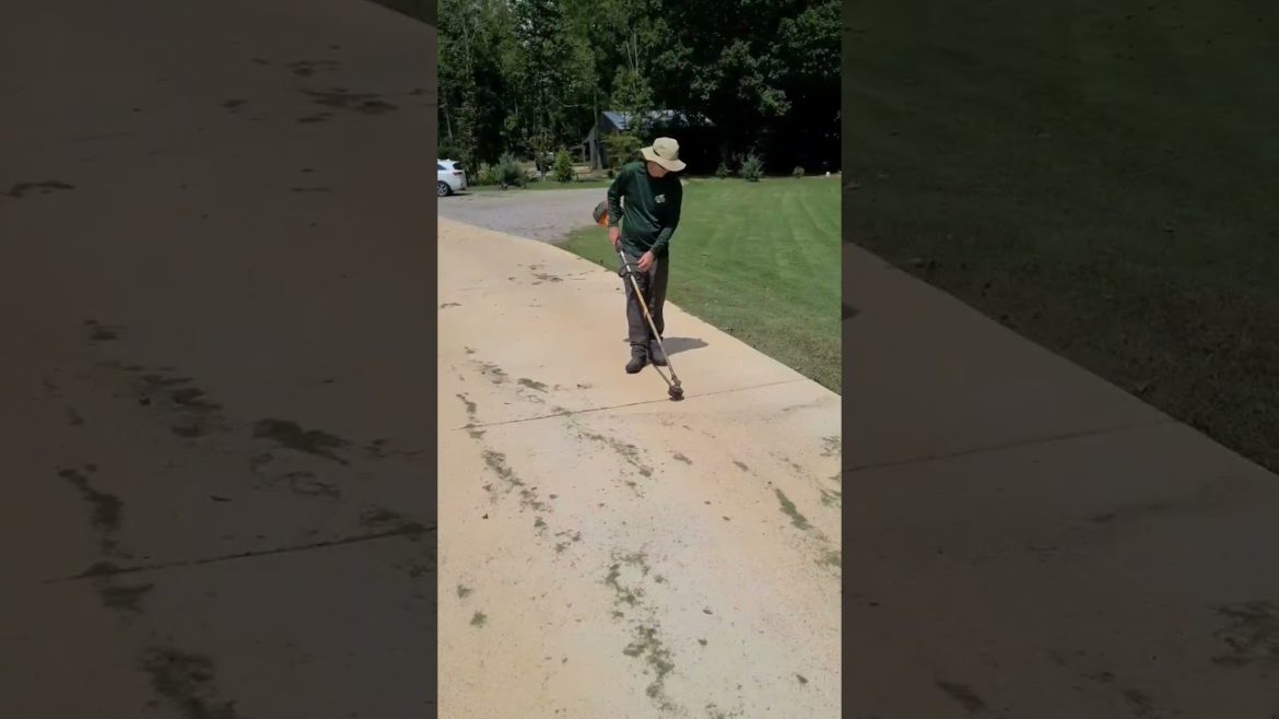 Weedeater Used 4 Ways