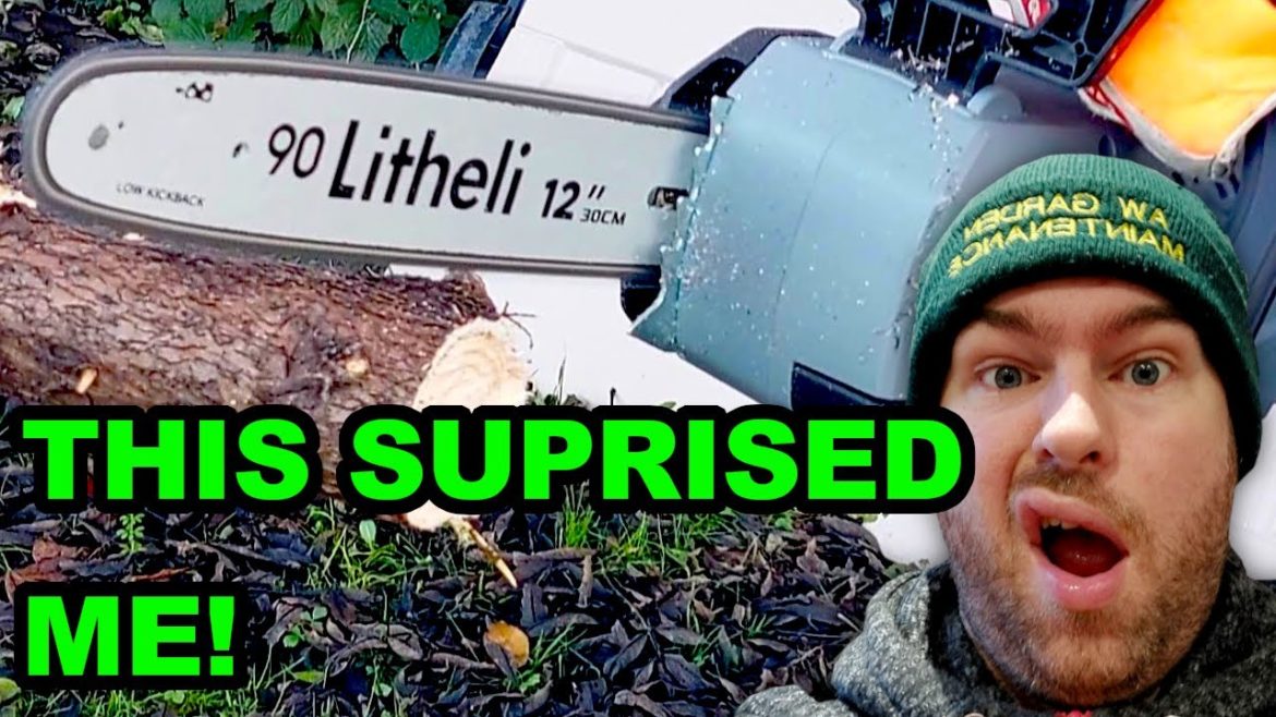 LITHELI Battery Chainsaw – this is a little beast! LITHELI Battery Chainsaw - this is a little beast!