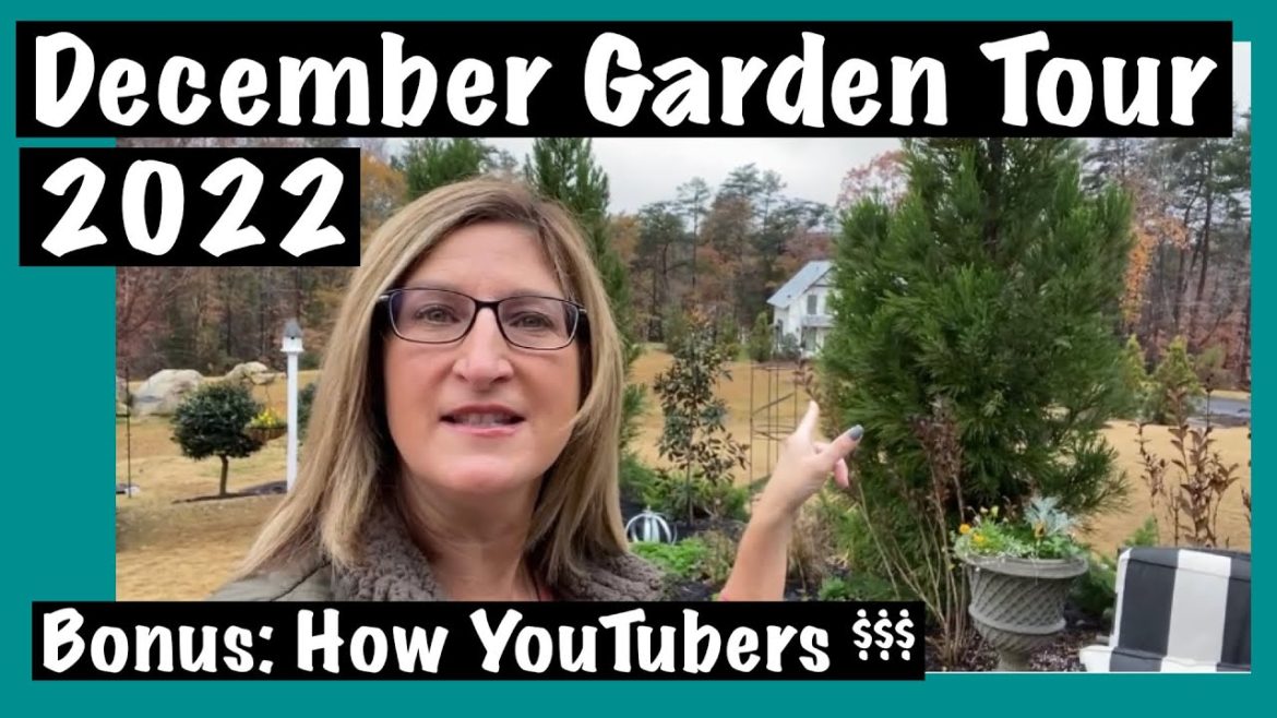 December garden Tour 2022: BONUS How do Youtubers make money!! December garden Tour 2022: BONUS How do Youtubers make money!!