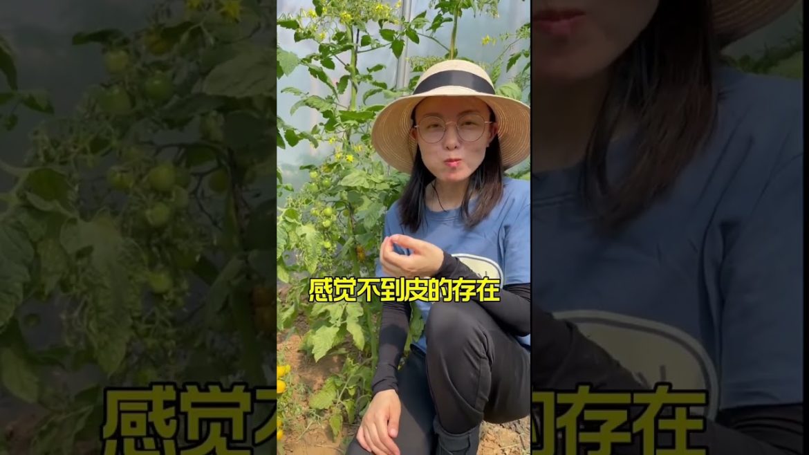 how to growth vegetable /gardening ideas for home how to growth vegetable /gardening ideas for home