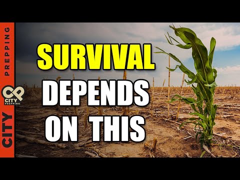 5 Critical Factors When Food Runs Out 5 Critical Factors When Food Runs Out