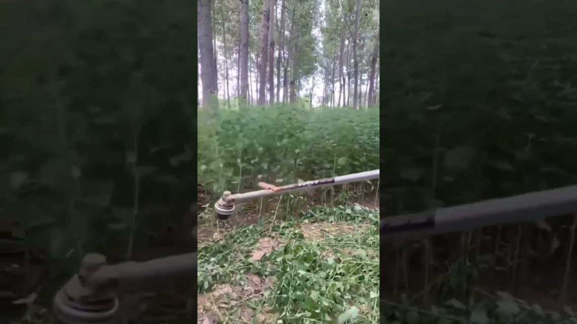 Gardening Equipment #shorts #ytshort #tech #gardening