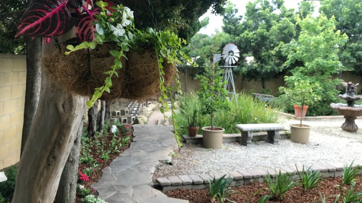 Planting a Narrow Garden Bed | Backyard Garden | Succulents Planting a Narrow Garden Bed | Backyard Garden | Succulents