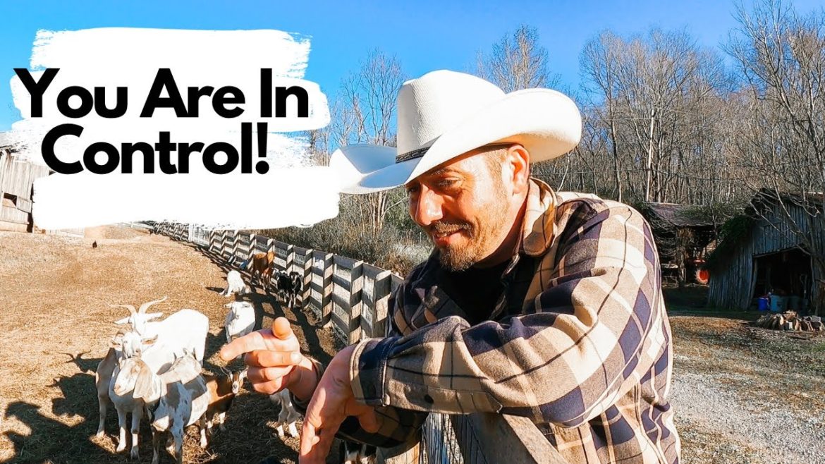 Quit Blaming | Start Adjusting