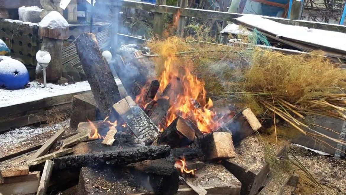 Minus 3 Winter Gardening Jobs 🎅  Bonfire On A Cold Day 🎅  Allotment Ponderings