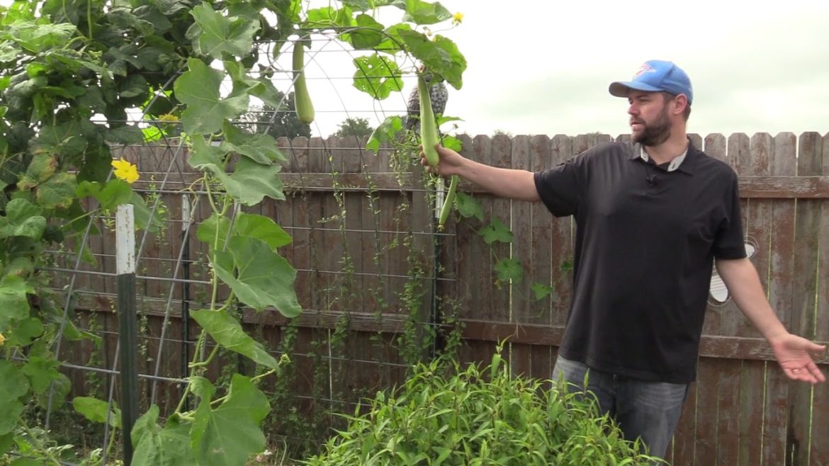 Backyard Garden Tour - How We Grow Food For Our Family of 6 Using Our Mobile App! (Fall 2018)