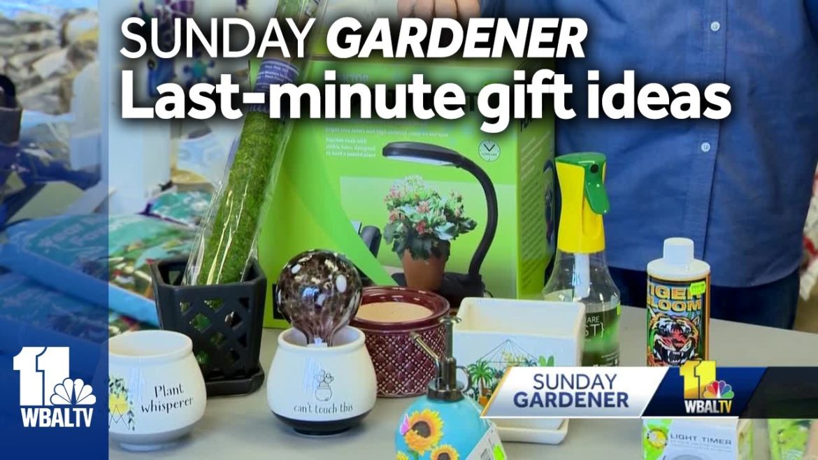 Sunday Gardener's last-minute gift ideas