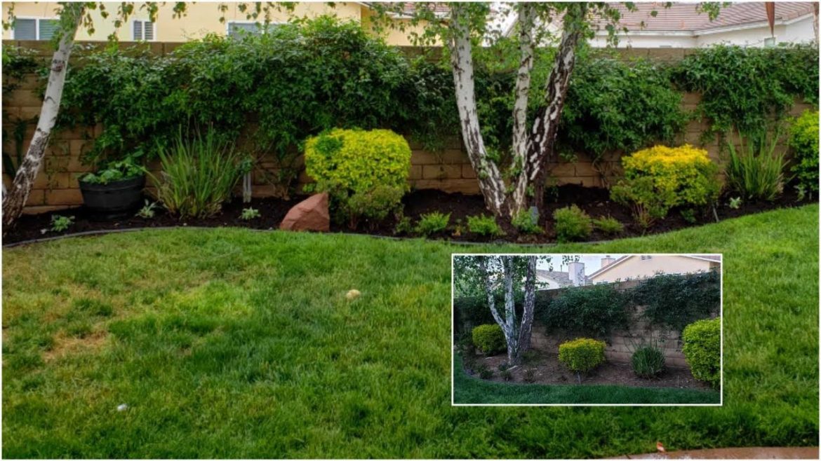 Quick Easy Landscaping Ideas Under $200. // Soil/ Flowers/ Lights/ landscape on a budget