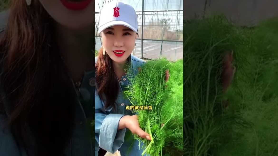 Episode 339 plant #shorts Episode 339 plant #shorts