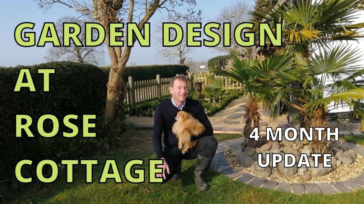 Garden Design at Rose Cottage, FOUR MONTH UPDATE. Garden Design at Rose Cottage, FOUR MONTH UPDATE.