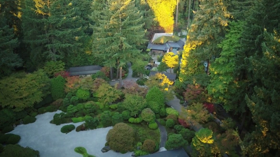 The Flat Garden [hira-niwa] from above