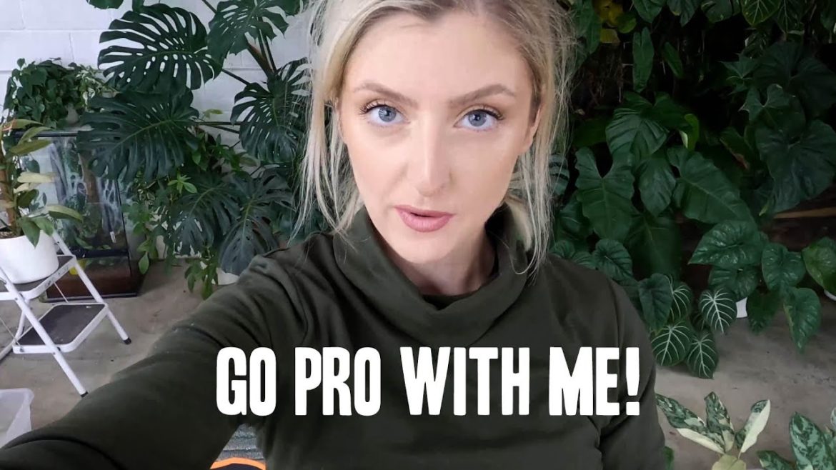 GoPro with me! Pottering around the shop & chatting!