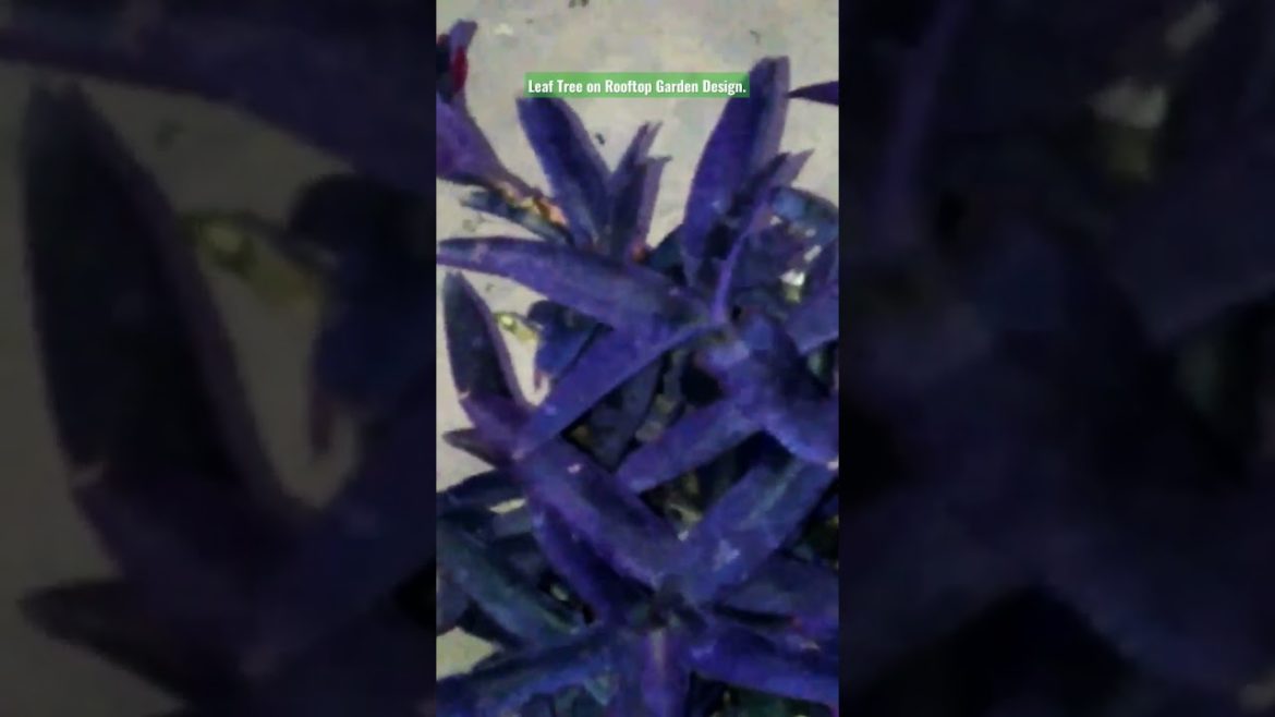 Leaf Tree on Rooftop Garden Design and Ideas for all. #shorts #share #subscribe #status