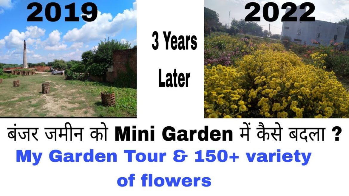 My Home Garden Tour & 150+ variety of flowers | Kshitij Pandey My Home Garden Tour & 150+ variety of flowers | Kshitij Pandey