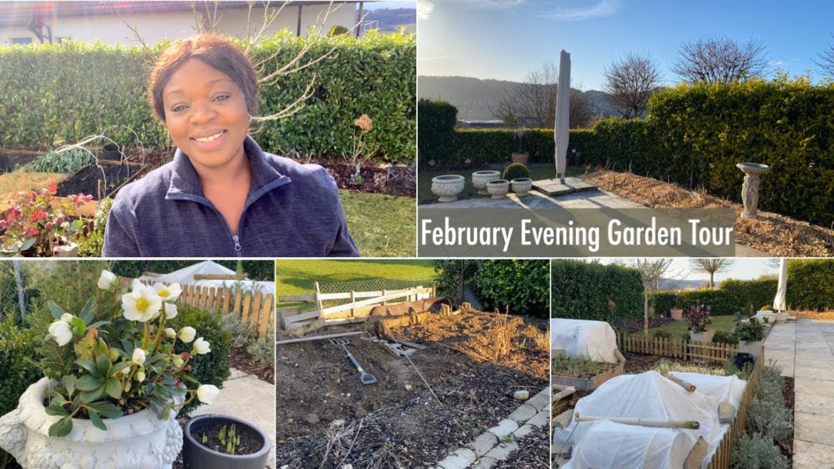 February Garden Tour | Exciting Front Yard with Work in Progress Backyard 💚🌸// TheSwissGardenVlog