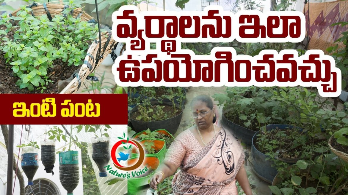 Terrace Gardening | Reused Container Gardening Ideas Terrace Gardening | Reused Container Gardening Ideas